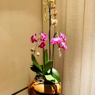 cachepot rustico de madeira